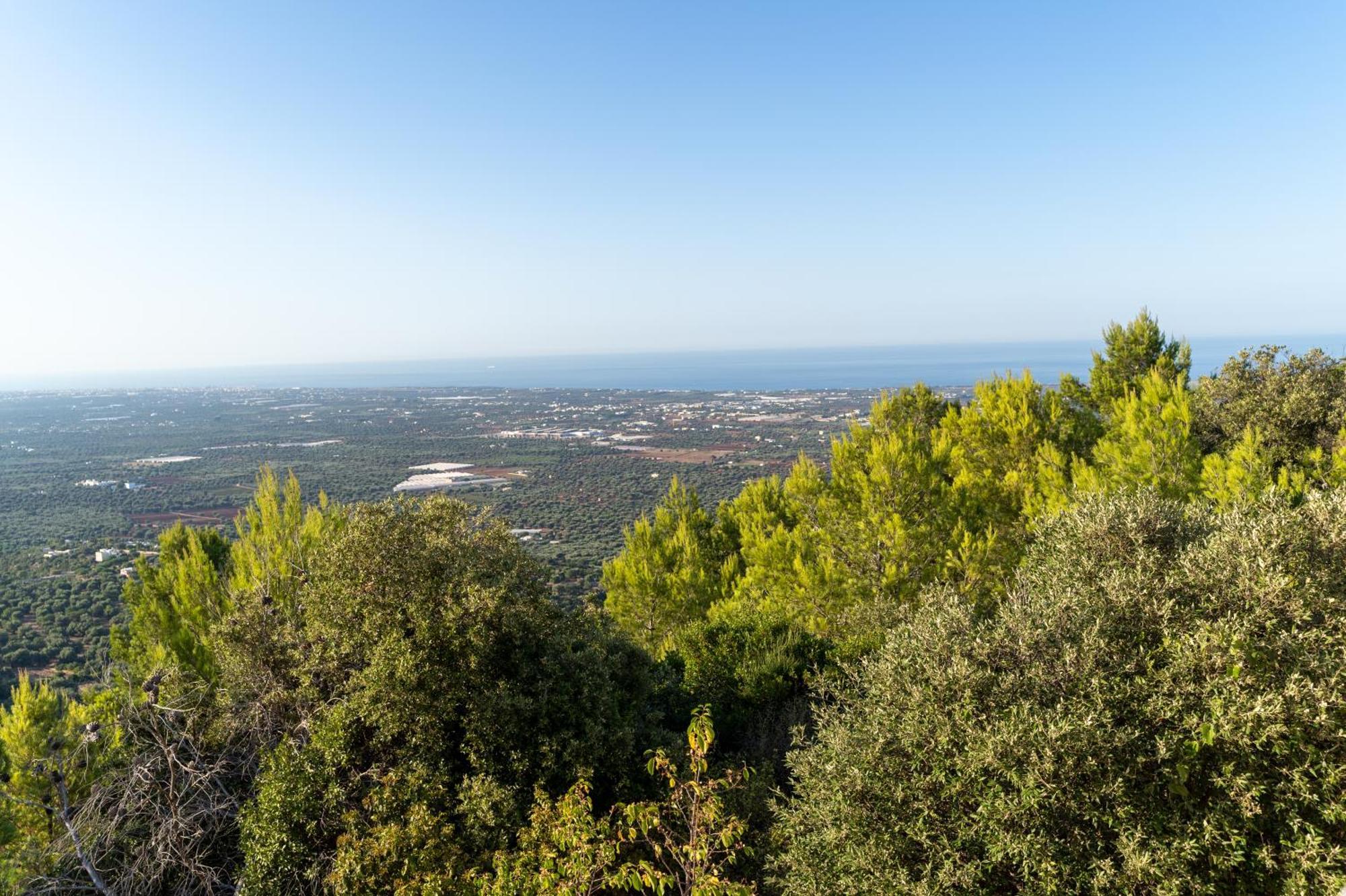 villa Bagorda Selva Di Fasano Exteriör bild
