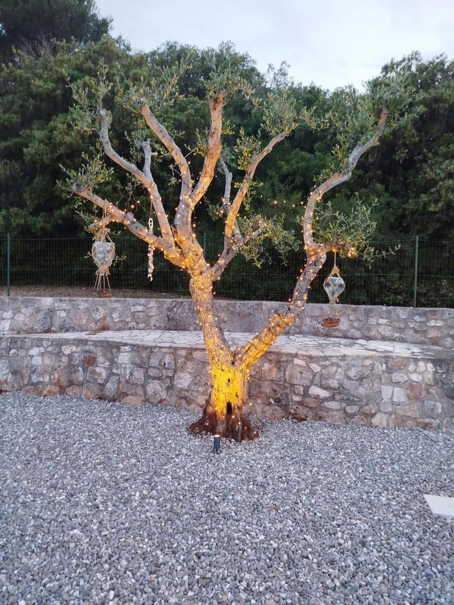 villa Bagorda Selva Di Fasano Exteriör bild
